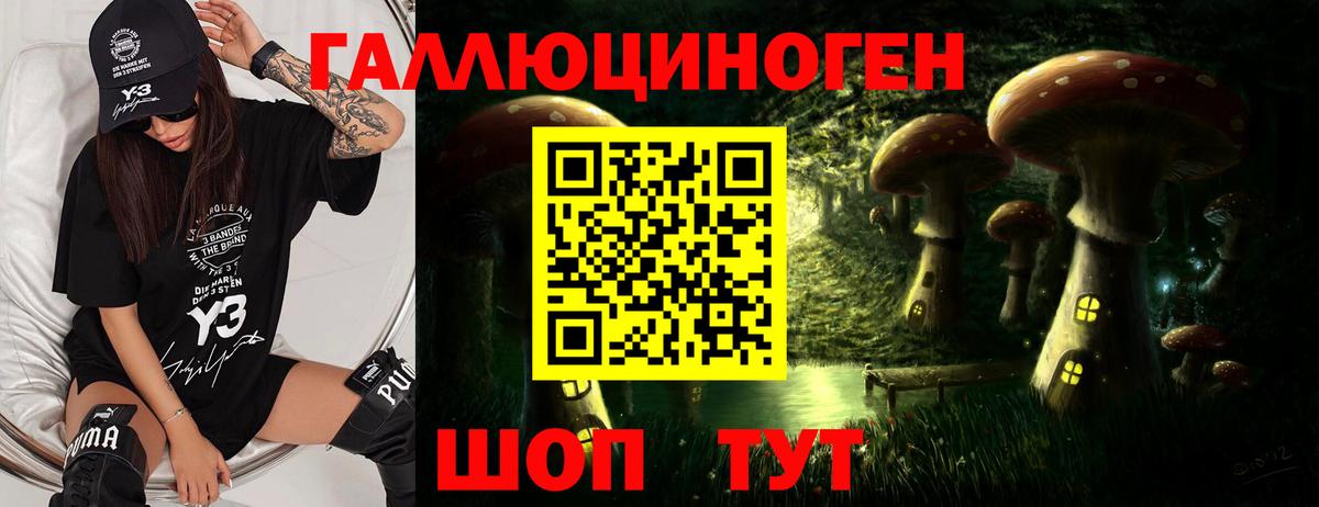 Полевской  Псилоцибиновые грибы Psilocybe  Вход с VPN 